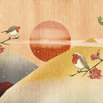 Robin Panel Orange Code