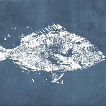 Carta da parati murale Poissons Noir Tres Tintas Barcelona