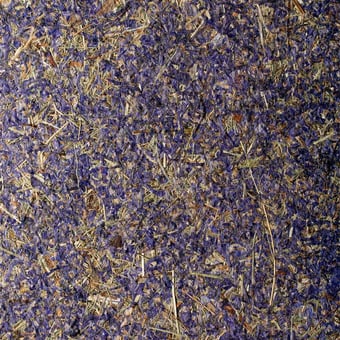 Revêtement mural Alpage & Pieds d'Alouette Violette SuperOrganic by Oberflex