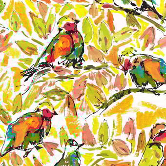 Piou Wallpaper Piou Lalie Design