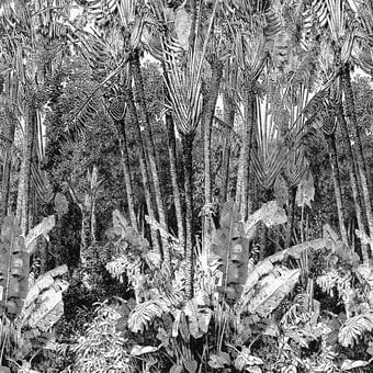 L'arbre du voyageur Panel  Casamance