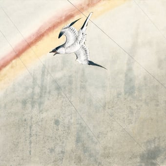 Papel pintado mural panorámico Coucou en vol Cuckoo Etoffe.com x Agence Musées Nationaux