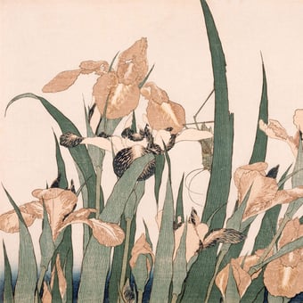 Carta da parati murale Iris et sauterelle Iris Etoffe.com x Agence Musées Nationaux