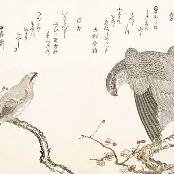 Une myriade d'oiseaux Panel Raffia Etoffe.com x Agence Musées Nationaux