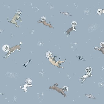 Papier peint panoramique Doggy Gravity Sky Coordonné