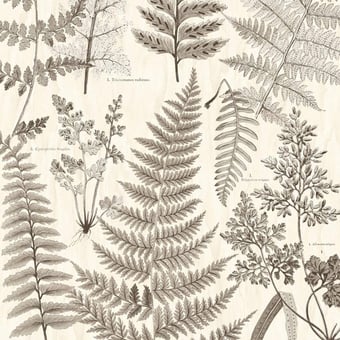 Panoramatapete Botanical Beige/Sand/Black Eijffinger