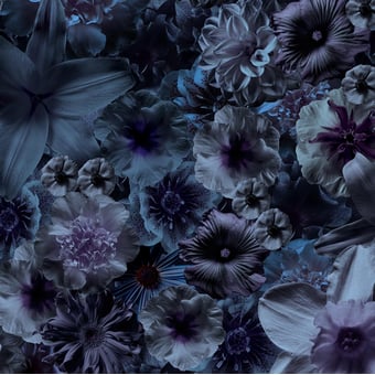 Alfombras Flowergarden Night Rectangle Night MOOOI