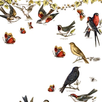 Papel pintado mural panorámico Oiseaux de nos Campagnes 200x300 cm - 3 tiras Maison Images d'Epinal