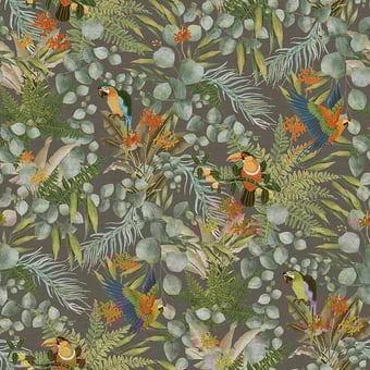 Parrots Wallpaper Multi JV Italian Living
