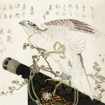 Carta da parati murale Faucon sur un perchoir Falcon Etoffe.com x Agence Musées Nationaux