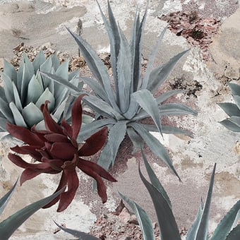 Papier peint panoramique Desert Flowers Bordeaux Wall&decò