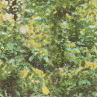 Forest Camo Panel Mousse Wall&decò