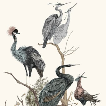 Panoramatapete Grue Couronnée Droit Poudre Edmond Petit
