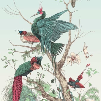 Papel pintado mural panorámico Oiseau de Paradis Gauche Vive Edmond Petit