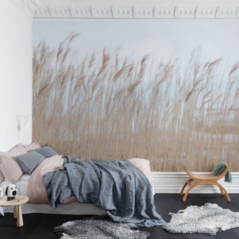 Papel pintado mural panorámico Swaying Reed Dune Rebel Walls