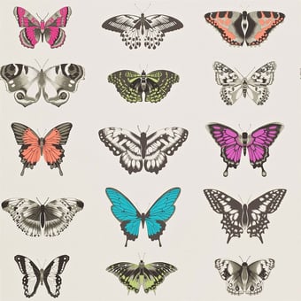 Papier peint Papilio Flamingo/Papaya/Olive Harlequin