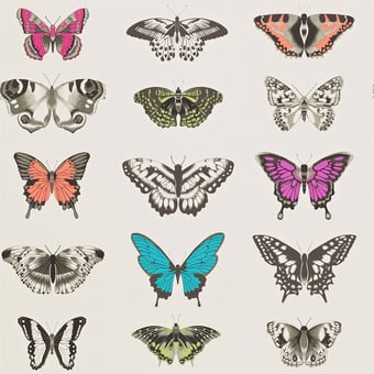 Papilio Wallpaper Flamingo/Papaya/Olive Harlequin