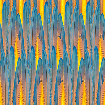Remige Wallpaper Bleu/Gris Curious Collections