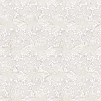 Dentelle florale Wallpaper Beige Curious Collections