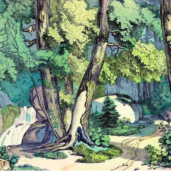 Carta da parati murale Fond de Forêt 414x300 cm - 6 lés Maison Images d'Epinal
