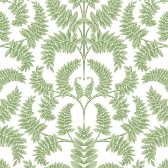 Royal Fern Damask Wallpaper Green York Wallcoverings