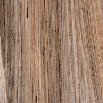 Wall Thin Wall Covering Aruba Green Blade by FIBandCO