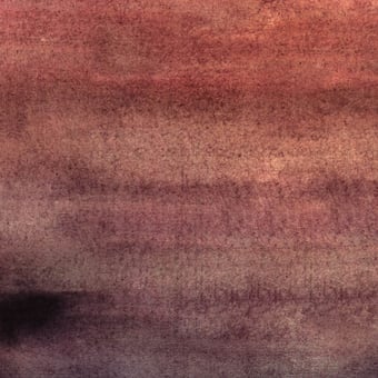 Papier peint panoramique Nimbo Cuisse de nymphe Tres Tintas Barcelona