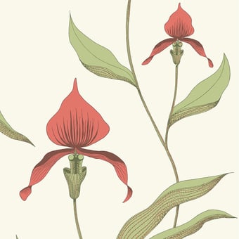 Papier peint Orchid Restyled Rouge Cole and Son