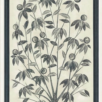 Trees of Eden Panel Eternity Cole and Son