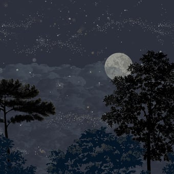 Papel pintado mural panorámico Eclipse Nocturne 150x330 cm - 3 tiras - Parte A Isidore Leroy