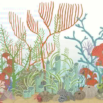 Papel pintado Archipelago Récif Cole and Son