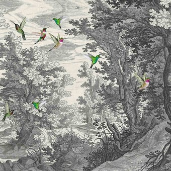 Papel pintado mural panorámico Fancy Forest Slate Walls by Patel