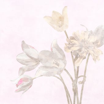 Morning Room Panel White Walls by Patel