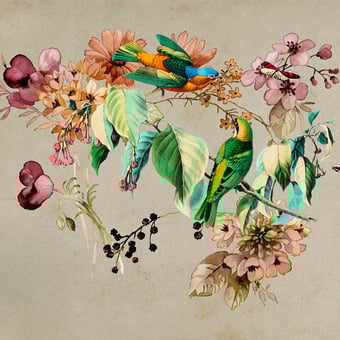 Carta da parati murale Love Nest Multicolor Walls by Patel