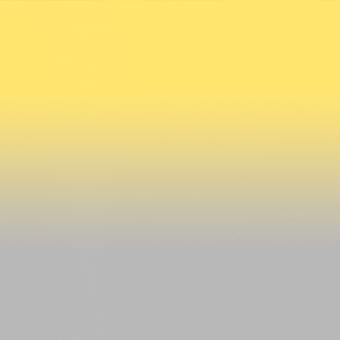 Colour Studio Panel Yellow Walls by Patel