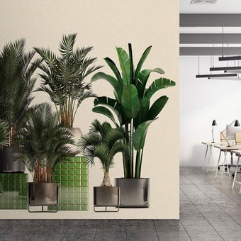 Panoramatapete Plant shop Green Walls by Patel