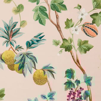Tela Orchard linoen Blush Osborne and Little