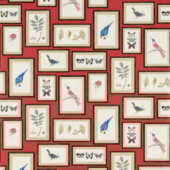 Carta da parati Picture Gallery Red/Multi Sanderson