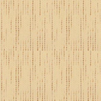 Stiplet Wall Covering Saumon Coordonné