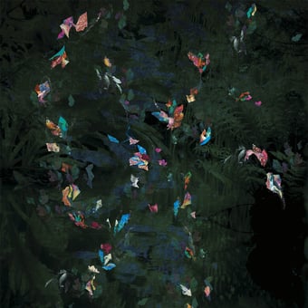 Papier peint panoramique Rafale Tropical Wall&decò