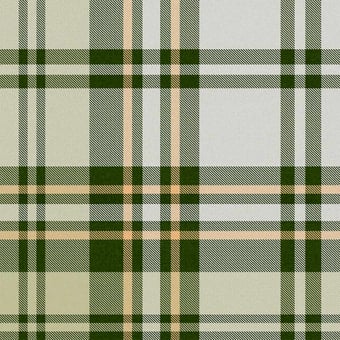 Papel pintado Chesterfield manta Juniper Mindthegap