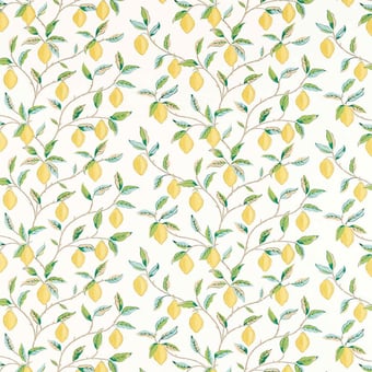 Tela Lemon Tree Lemon/ Bayleaf Morris and Co