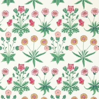 Daisy Wallpaper Strawberry Fields Archive