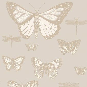 Papel pintado Butterflies and Dragonflies Ciel/Rose Cole and Son