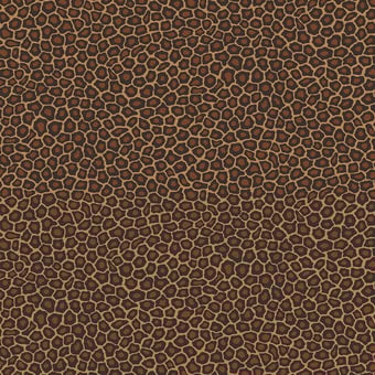 Senzo Spot Wallpaper Beige/Noir Cole and Son