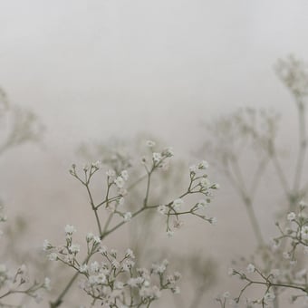 Papier peint panoramique Julia Spring Green Sandberg