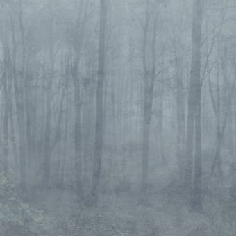 Papier peint panoramique Skog Misty Blue Sandberg
