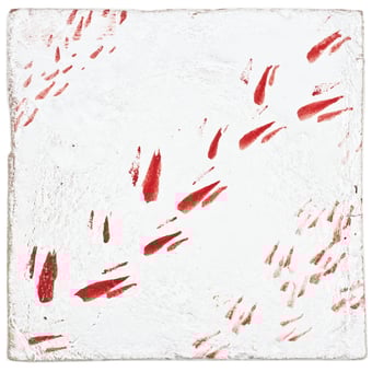 Piastrella Orme carré Red Slowtile
