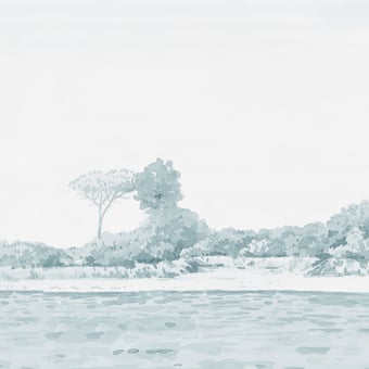 Papier peint panoramique Rivage Vert d'eau 150x330 cm - 3 lés - Partie A Isidore Leroy