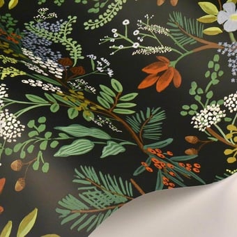Juniper Forest Wallpaper Black Rifle Paper Co.